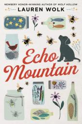 Echo Mountain Poster Image