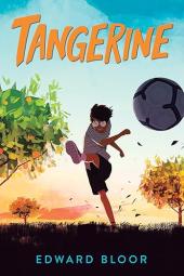 Tangerine Book Cover: Boy in a field of tangerine trees mid-kick, soccer ball in air in the foreground.