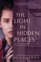 The Light in Hidden Places Poster Image