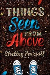 Things Seen from Above Poster Image