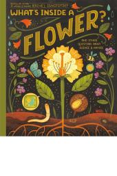 What's Inside a Flower book cover: Digital illustration of flowers, leaves, insects, etc.