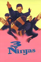 3 Ninjas Movie Poster: Max Elliot Slade, Chad Power, and Rand Kingsley kicking in midair on a yellow and pink background