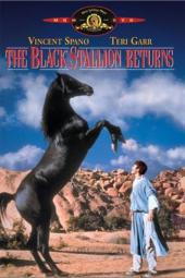 The Black Stallion Returns Poster Image
