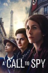 A Call to Spy Poster Image