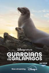 Guardians of the Galapagos movie poster: Sea Lions in profile