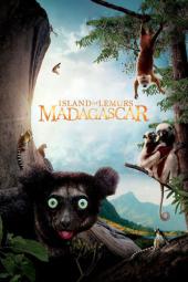 Island of Lemurs: Madagascar Poster Image