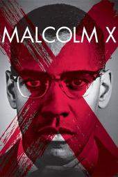 Malcolm X Poster Image