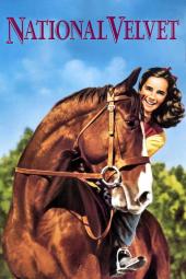 National Velvet Poster Image