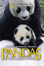 Pandas: The Journey Home Poster Image