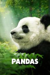 Pandas Poster Image