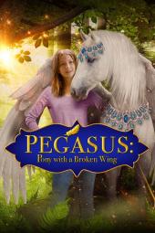 Pegasus: Pony with a Broken Wing Poster Image