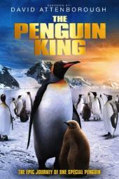 Best Documentaries on Apple TV | Common Sense Media