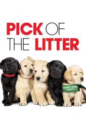 Pick of the Litter Poster Image