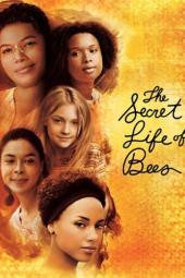 The Secret Life of Bees Poster Image
