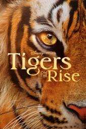 Tigers on the Rise movie poster: Closeup of tiger