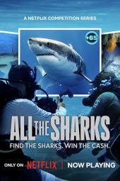 All the Sharks TV show poster: two photographers underwater wearing scuba gear, and a few photos of sharks with point values listed next to them