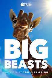 Big Beasts TV show: Up close shot of a giraffe's face with the words "Big Beast" in large print at the bottom.