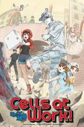 Cells at Work TV poster: A platelet hugs White Blood Cell's leg while he kicks and Red Blood Cell trips while holding a box