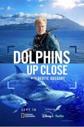 Dolphins Up Close with Bertie Gregory TV show poster: Two images show a man with the open ocean behind him on top and dolphins swimming under