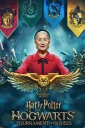 Harry Potter: Hogwarts Tournament of Houses Poster Image