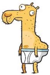 Almost Naked Animals TV Review | Common Sense Media