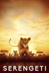 Serengeti Poster Image