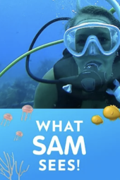 What Sam Sees Poster Image