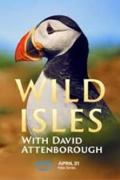 Wild Isles TV show poster: a puffin