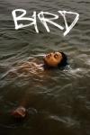 Bird movie poster: A young biracial girl lies in the sea looking upwards