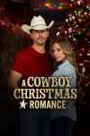 A Cowboy Christmas Romance movie poster: Adam Senn and Jana Kramer