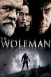 The Wolfman Poster Image