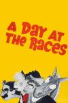 A Day at the Races Poster Image