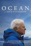 Ocean with David Attenborough film poster: Sir David Attenborough wears a blue jacket in front of a blue landscape of sky and water