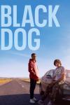 Black Dog movie poster: Two teen boys, (one Black, one White) by a car
