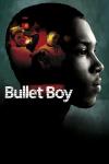 Bullet Boy movie poster: Ashley Walters in profile with characters pictured inside his head
