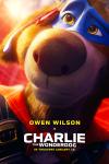 Charlie the Wonderdog movie poster: Closeup of a floppy-eared dog wearing a mask