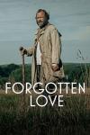 Forgotten Love movie poster: Man walks outdoors with walking stick