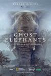Ghost Elephants movie poster: A giant elephant in the mist.