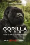 A gorilla looks out from a leafy green background on the poster for A Gorilla Story: Told by David Attenborough
