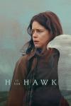 H is for Hawk movie poster: Claire Foy holds a hawk and looks into the distance