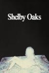 Shelby Oaks Movie Poster: A woman with long hair has a bright light shining in her face, obscuring her features