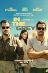 In the Grey movie poster: Henry Cavill, Eiza Gonzalez, and Jake Gyllenhaal in sunglasses under a sunny sky, with serious expressions