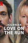 Jailbreak: Love on the Run Movie Poster: One half shows man with moustache, the other smiling blonde woman