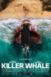 Killer Whale Movie Poster: Two women lie on a sandy strip of beach, a large S.O.S. scrawled in the sand and a bloody orca lurking