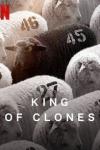 King of Clones movie poster: High-angle view of a herd of black and white sheep with stenciled numbers featured on their left sides, and white capital letters of the documentary's title King of Clones and a capital red N, the logo design Netflix, the film's distributor, in the upper left hand corner