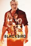 Blackbird movie poster: Michael Flatley stands with a cut eye and lip while other characters from the film are projected onto his body amid an explosion