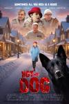 Not My Dog movie poster: Rylie Pennington walks streets of Vernon in winter, Nudge the dog’s face peeking from side
