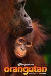 Orangutan movie poster: Orangutan mom and baby.
