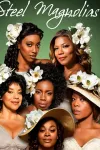 Steel Magnolias movie poster: Black Women with white flowers in hair, formal attire, green background.