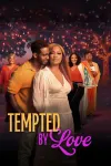Terry McMillan Presents: Tempted by Love movie poster: Garcelle Beauvais and Vaughn W. Hebron